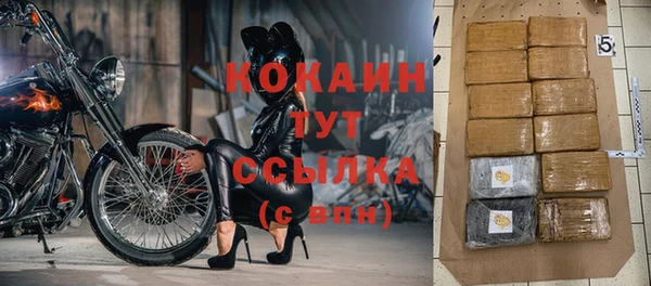 твердый Белокуриха