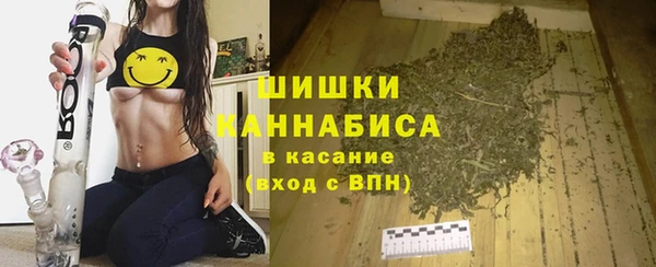 твердый Белокуриха